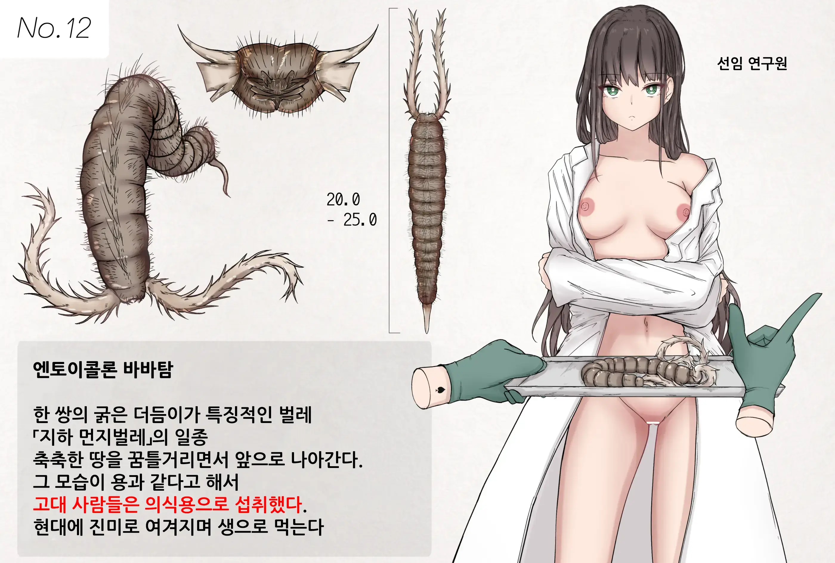 Insect Research Report